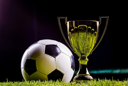 所有的目光 所有的目光