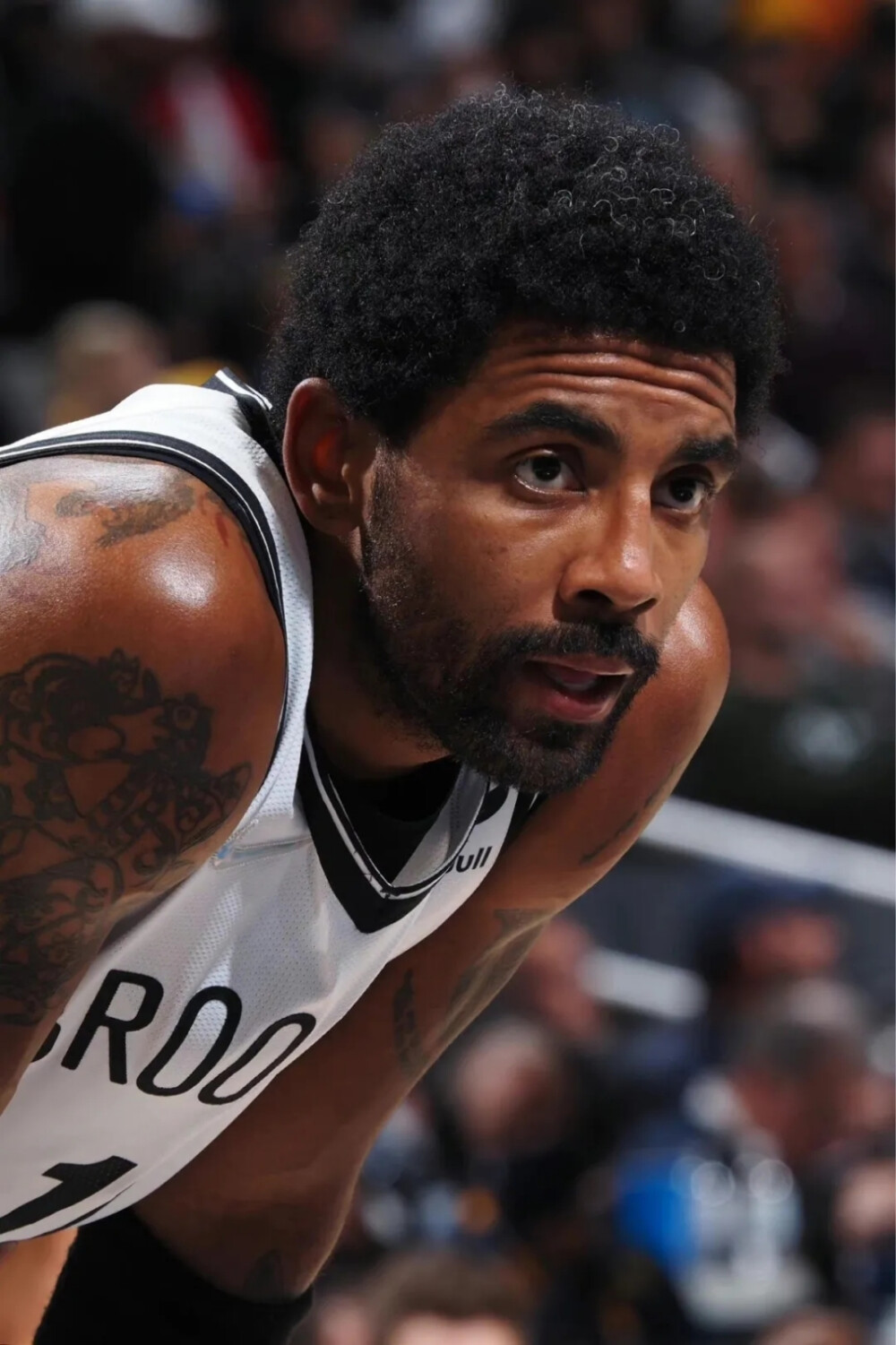 局的定海针 局的定海针