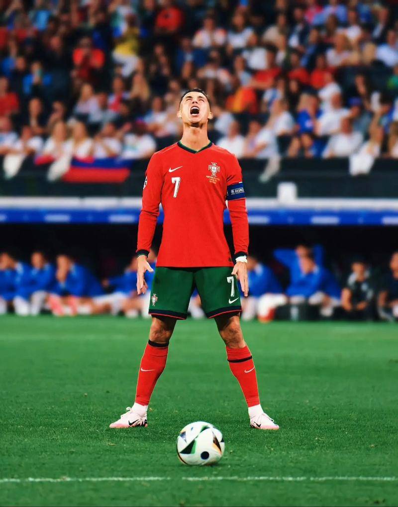 布鲁克林篮 布鲁克林篮