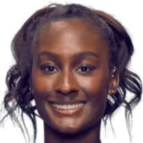 重要原因 重要原因